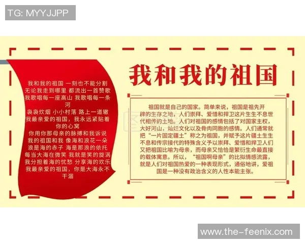 新科冠军的辉煌征程与夺冠背后的艰辛历程揭秘